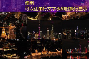 爱上海：感受大自然的宁静和安宁