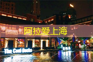 上海品茶网：旧时光。